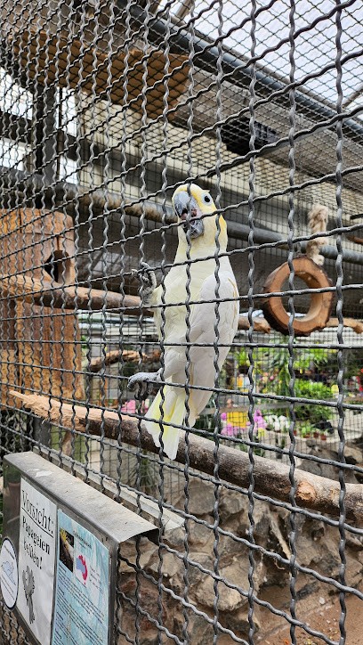 Nadine Netzer, Blumenladen in Birkenau