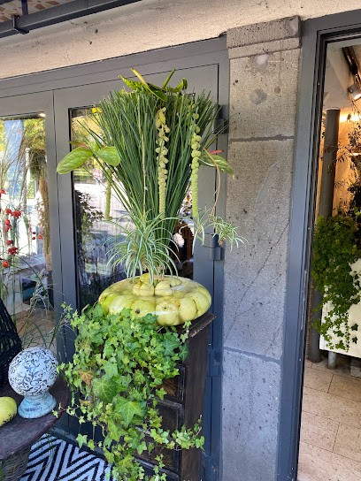 Matthias Erpenbeck, Blumenladen in Bad Nauheim