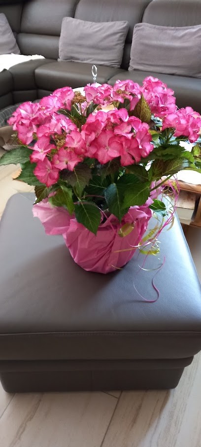 Schlüter Blumen Und Floristik, Blumenladen in Salzkotten