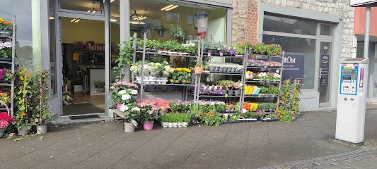 BONSAI Florist, Blumenladen in Aachen