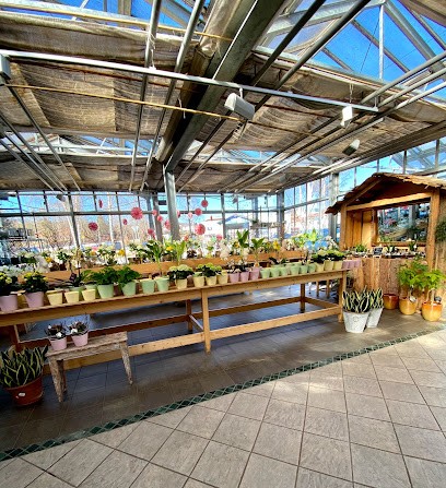 Blumen Amberger, Blumenladen in Viechtach