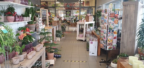 Blumen Peter, Inh. Jürgen Datz, Blumenladen in Pfullingen