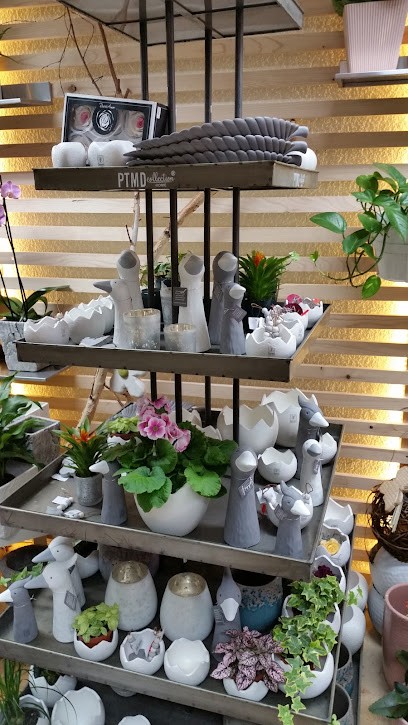 Gänseblümchen Inh. Christoph Gans, Blumenladen in Abensberg