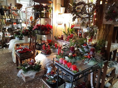 Tina's Blumenwelt, Blumenladen in Rheinsberg