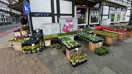 Der Holländer G.S.Geerlings Blumen & Pflanzen, Blumenladen in Celle