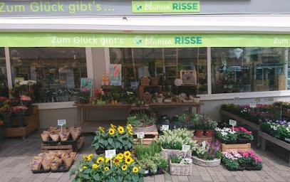 Blumen Risse Blumenladen Radevormwald, Blumenladen in Radevormwald