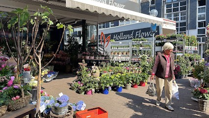 Holland Flower, Blumenladen in Haan
