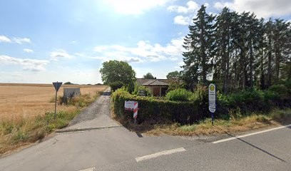 Harry Paduch Rosenkulturen Verkauf Ab Hof, Blumenladen in Rosbach vor der Höhe