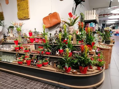 BlumenLiebe Lauf, Blumenladen in Lauf an der Pegnitz