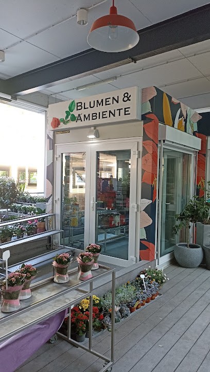 Blumen & Ambiente, Blumenladen in Eßlingen
