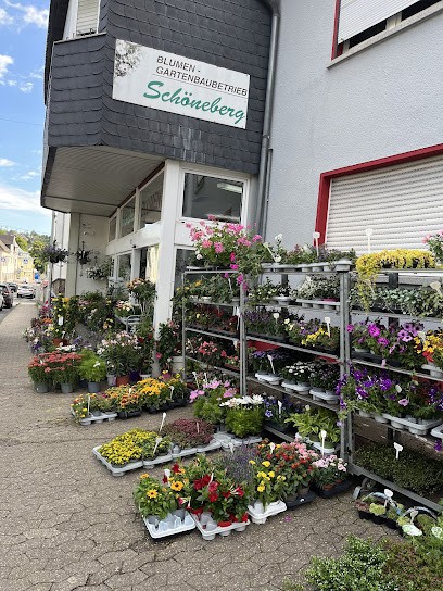 Blumenhaus Schöneberg, Blumenladen in Puderbach