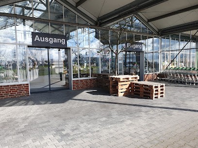 Pflanzen-Center Mühlenbeck - Münster, Blumenladen in Munster