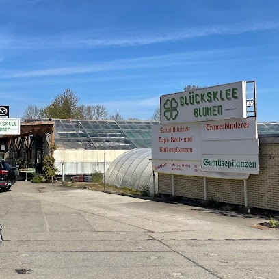 Glücksklee Blumen Gartenbau Verkaufsgärtnerei, Blumenladen in Halberstadt