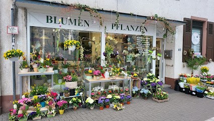 Blumen Und Pflanzen P&T, Blumenladen in Worms