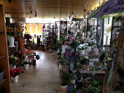 Blumenhaus Langer, Blumenladen in Meinersen