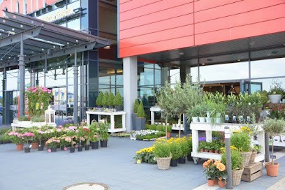 Blumen Interfleur Floristik & Wohnaccessoires, Blumenladen in Wildeshausen