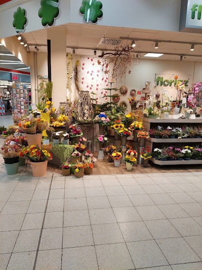 Blumen -florizz, Blumenladen in Zittau