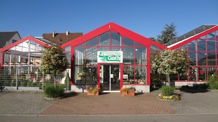 Blumen Güth Breisach, Blumenladen in Breisach