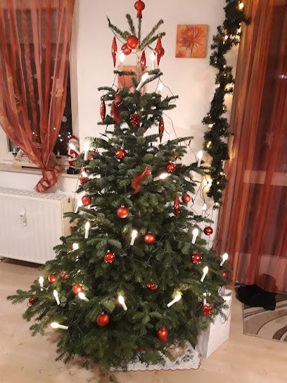 Blumen- Und Pflanzencenter Ebert, Blumenladen in Neuruppin