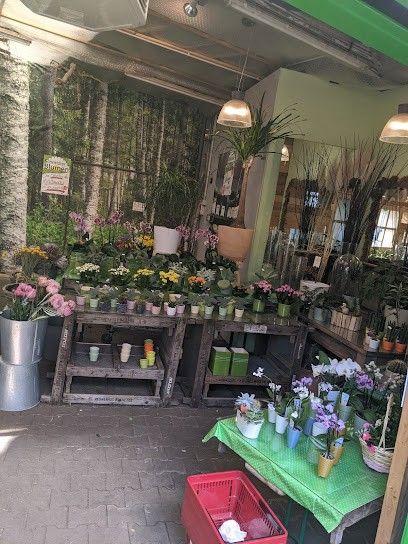 Schnitzler’s Blumen, Blumenladen in Düsseldorf