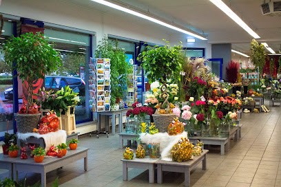 Blumen König GmbH Gründau Lieblos, Blumenladen in Gründau