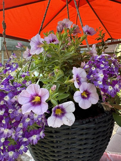 H. Bredemeier, Blumenladen in Rinteln