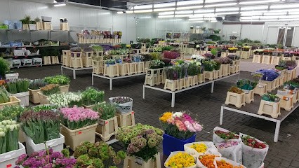 Blumen-Abholmarkt 16 GmbH, Blumenladen in Gönnebek