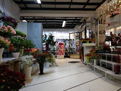 Fiore Rosso, Blumenladen in Hennef