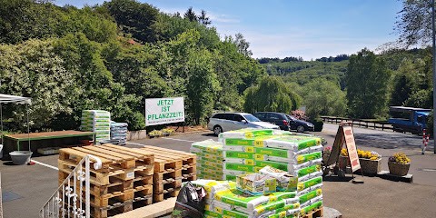 Andrea Hohlfeld, Blumenladen in Lüdenscheid