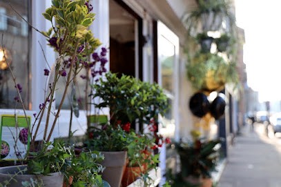 Blumen Imperium, Blumenladen in Köln