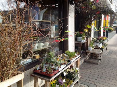 Floristik Nolden, Blumenladen in Bad Breisig