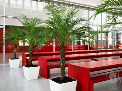 Grün Und Raum, Blumenladen in Kirchheim unter Teck