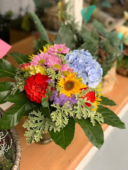 Der Blumenkiosk Rastatt, Blumenladen in Rastatt