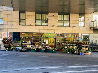Holland Blumen Ruud Van Paridon, Blumenladen in Jena