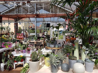 Blumenhaus Teuser & Gärtnerei Otto Peter, Blumenladen in Pulsnitz