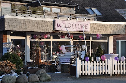 Wildblume GmbH, Blumenladen in Schönberg