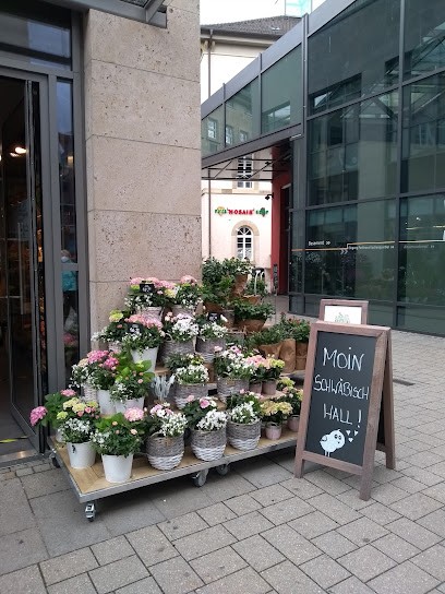 BLUME2000 Schwäbisch Hall, Blumenladen in Schwäbisch Hall