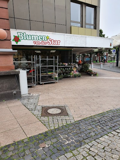 blumen van der star konigstr 60 47051 duisburg, Blumenladen in Duisburg