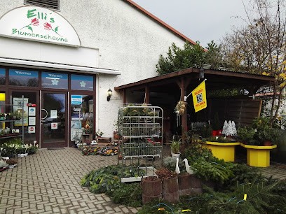 Ellis Blumenscheune, Blumenladen in Edemissen