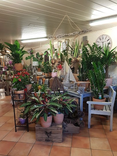 Blumenfachgeschäft Mayflower, Blumenladen in Möckern