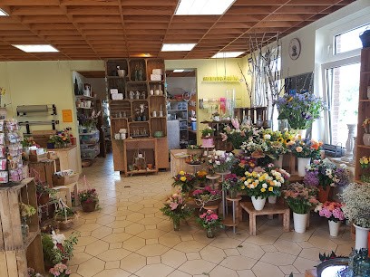 Immergrün, Blumenladen in Lübeck