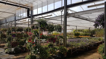 Blumen Bartling, Blumenladen in Neustadt am Rübenberge