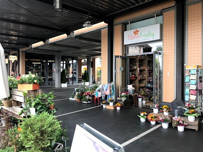Blumen Kewley, Blumenladen in Kassel