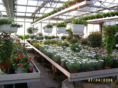 Scherfer Garten- und Landschaftsbau, Blumenladen in Wächtersbach
