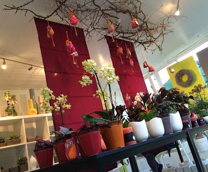 BLUMEN SCHMIDT WETTSTETTEN, Blumenladen in Wettstetten