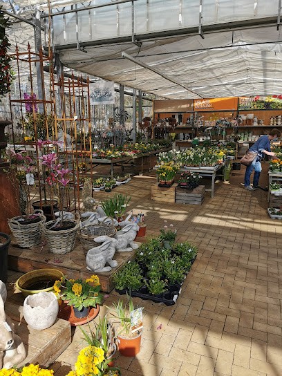 Grüner Garten, Blumenladen in Gifhorn