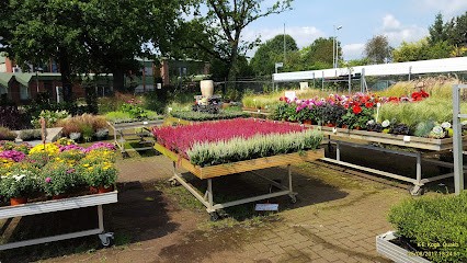 Peter Landwehr, Blumengroßhandel, Blumenladen in Quakenbrück