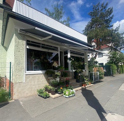 In Fiore Inh. Annette Reisdorf - Jena, Blumenladen in Jena