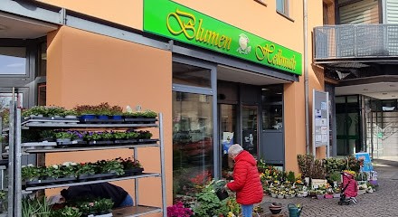 Hellmuth, Blumenladen in Finsterwalde