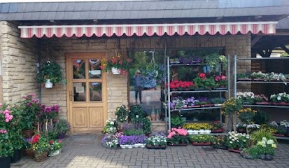 Inka Warmbold, Blumenladen in Lehrte